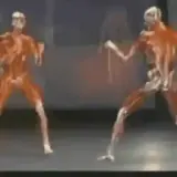 Sticker para WhatsApp