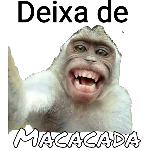 Coletadas sticker 5343