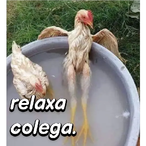 Coletadas sticker 24575