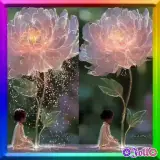 Sticker de Amor para WhatsApp