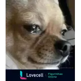 Sticker para WhatsApp