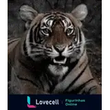 Figurinha para WhatsApp