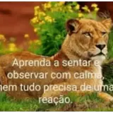 Figurinha para WhatsApp