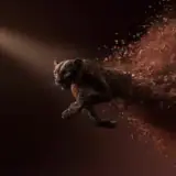 Figurinha de Animais para WhatsApp