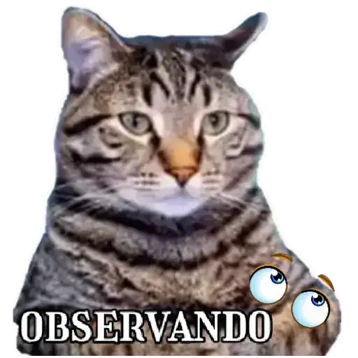 Coletadas sticker 20154