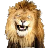 Figurinha de Animais para WhatsApp