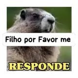 Figurinha de Memes Brasileiros para WhatsApp