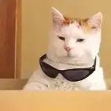 Figurinha para WhatsApp