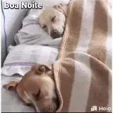 Figurinha de Cachorros para WhatsApp