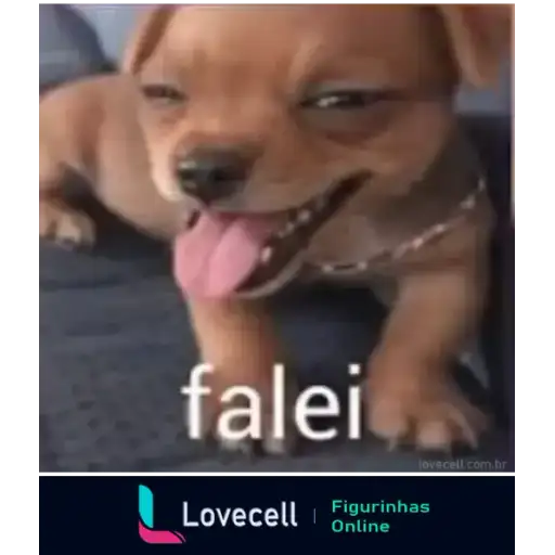 Coletadas sticker 33151