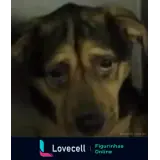 Sticker para WhatsApp