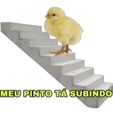 Figurinha de Memes Brasileiros para WhatsApp