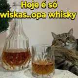 Figurinha de Memes para WhatsApp