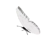 Sticker de Animais para WhatsApp