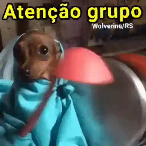Figurinha para WhatsApp — Animais