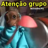 Figurinha de Animais para WhatsApp