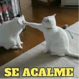 Sticker de Memes Brasileiros para WhatsApp