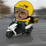 Figurinha de Animais para WhatsApp