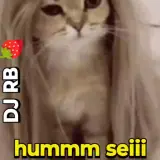 Figurinha de Gatos para WhatsApp