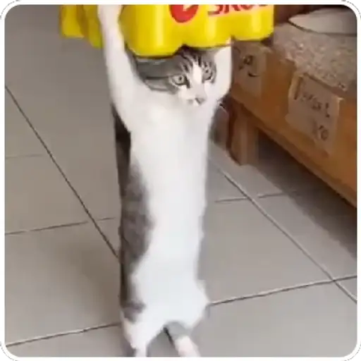 Coletadas sticker 743