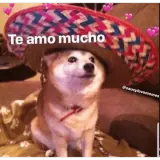 Figurinha para WhatsApp