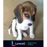 Figurinha para WhatsApp
