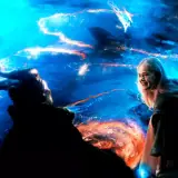 Sticker de reação para WhatsApp