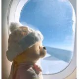 Figurinha de Animais para WhatsApp