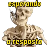 Figurinha de Memes para WhatsApp
