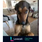 Sticker para WhatsApp