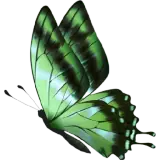 Animais WhatsApp sticker