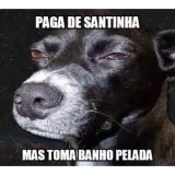 Figurinha para WhatsApp