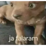 Figurinha de Cachorros para WhatsApp