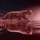 Figurinha de Animais para WhatsApp