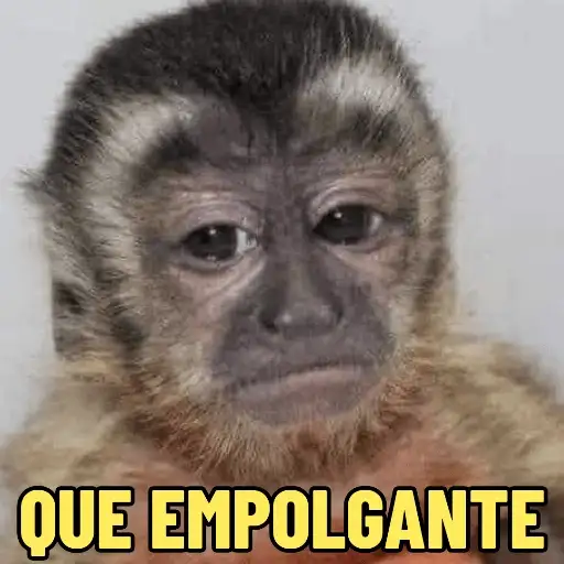 Coletadas sticker 7070