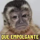 Figurinha de Memes Brasileiros para WhatsApp