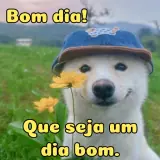 Figurinha de Saudações para WhatsApp