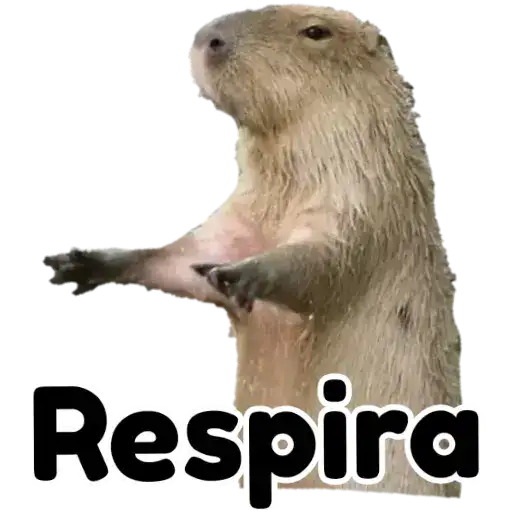 Coletadas sticker 37251
