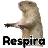 WhatsApp sticker