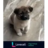 Figurinha para WhatsApp