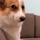 Sticker para WhatsApp