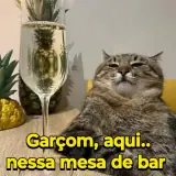 Figurinha de Memes Brasileiros para WhatsApp