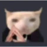 Figurinha de Gatos para WhatsApp