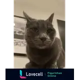 WhatsApp sticker