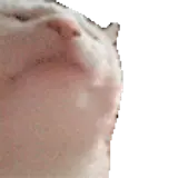 WhatsApp sticker