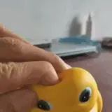 Sticker de Animais para WhatsApp