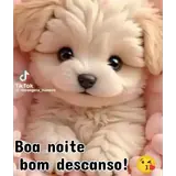 Sticker de Saudações para WhatsApp