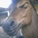 Figurinha para WhatsApp