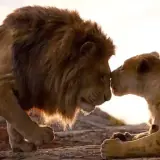 Figurinha de Animais para WhatsApp