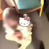 Figurinha de Animais para WhatsApp